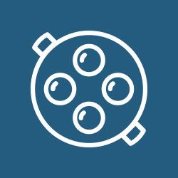 Icon of a circular object with buttons.